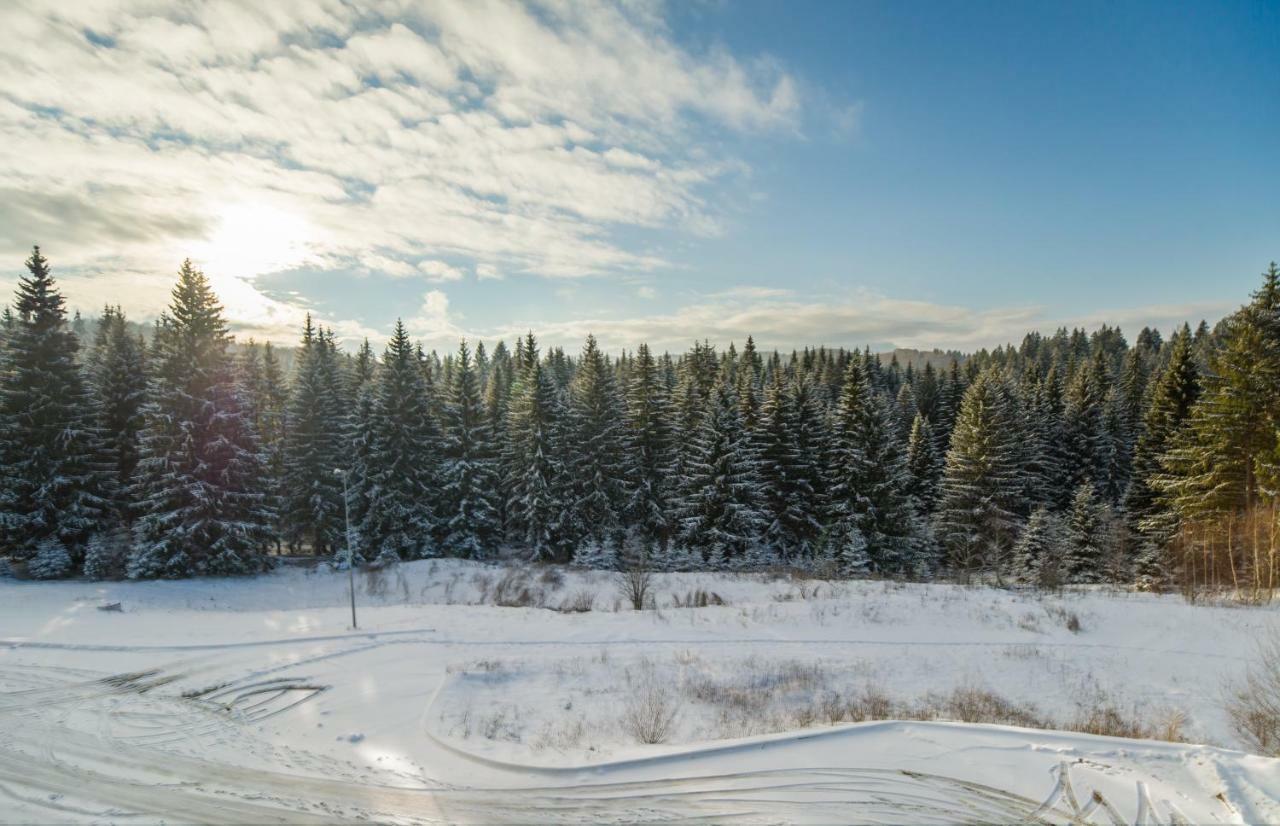 Timber View Apartment Silver Mountain Poiana Brasov Bagian luar foto